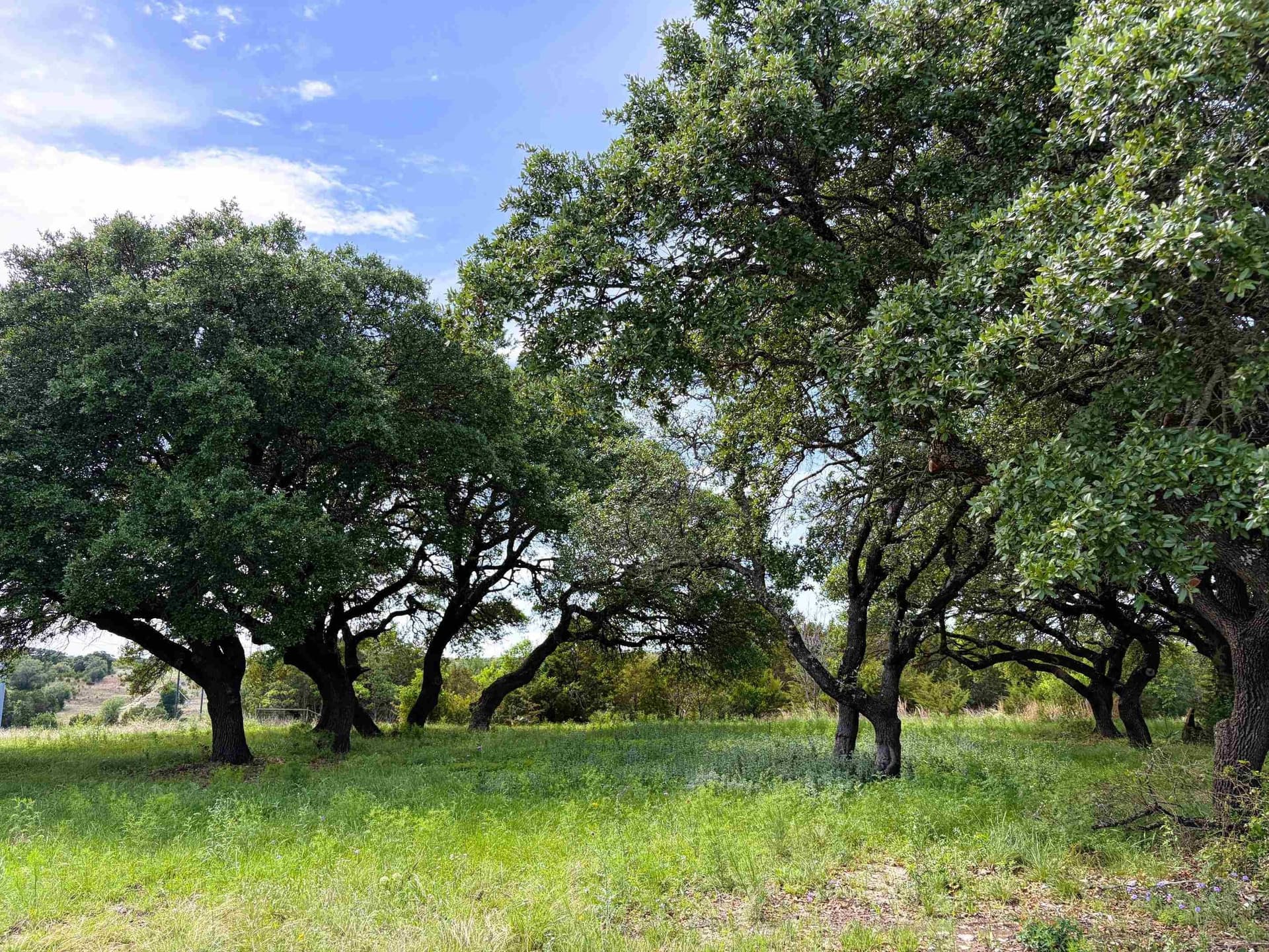 130.44 acres in Lampasas County - photo 37