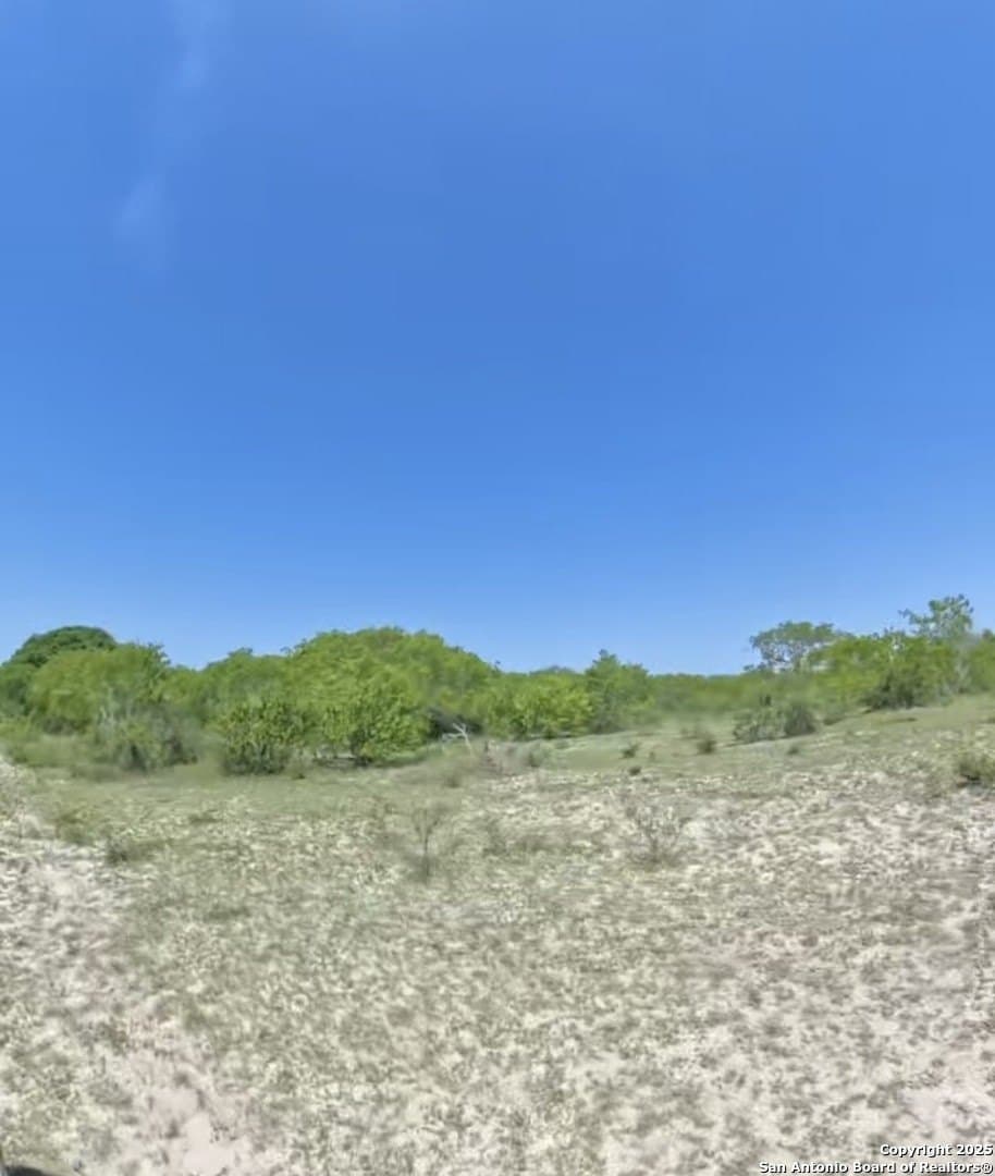 20 acres in Karnes County gallery image 3