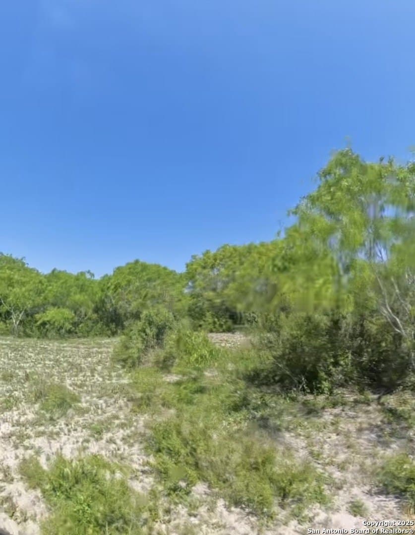 20 acres in Karnes County gallery image 4