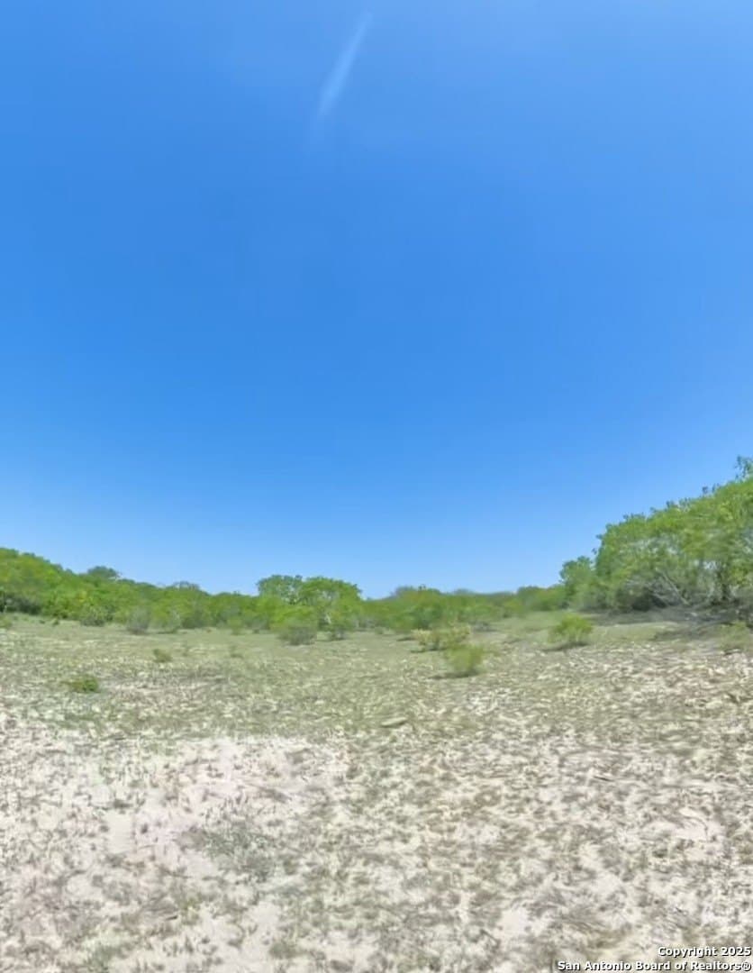 20 acres in Karnes County gallery image 2