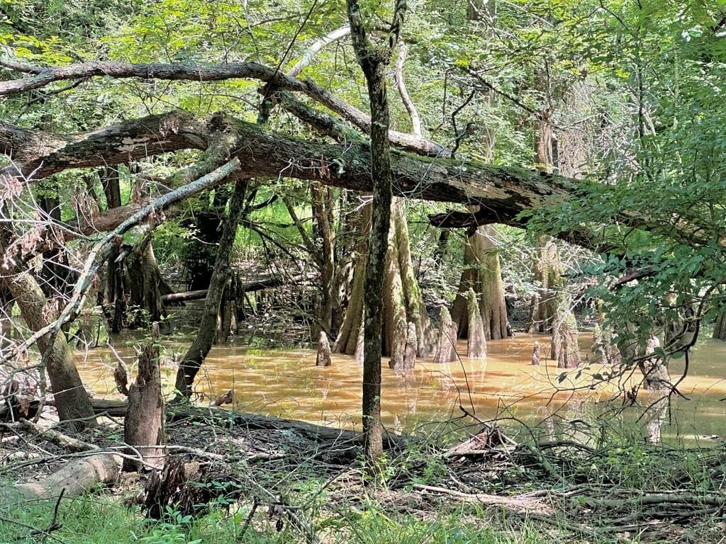 148.18 acres in Texas County - photo 36