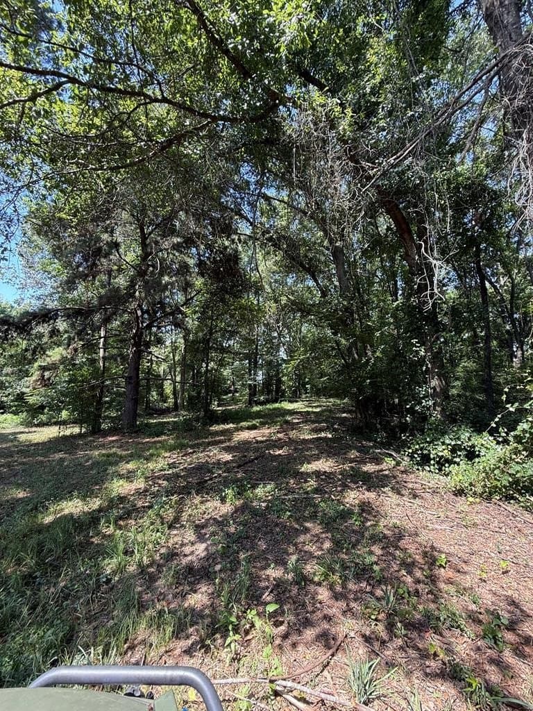 148.18 acres in Texas County - photo 28
