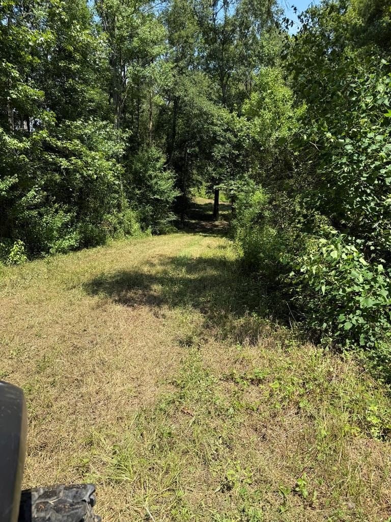 148.18 acres in Texas County - photo 41