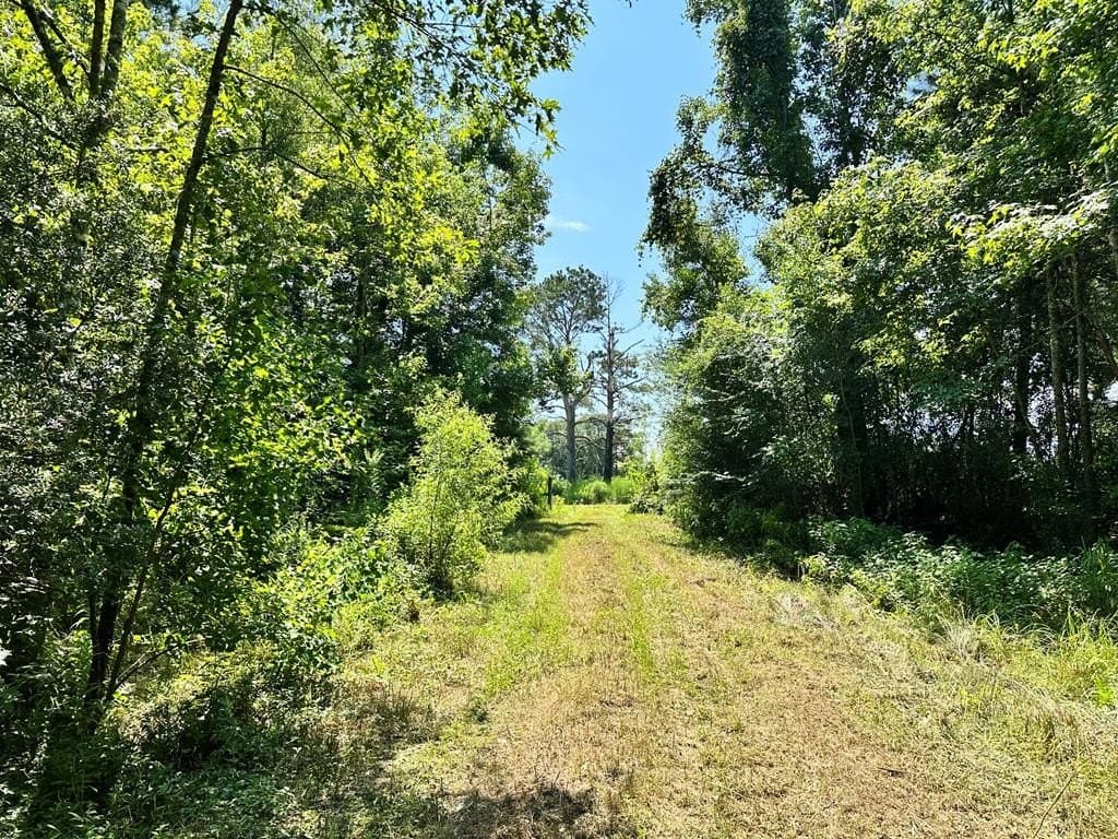 148.18 acres in Texas County - photo 43