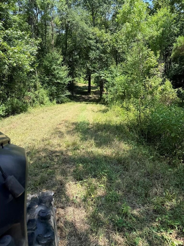 148.18 acres in Texas County - photo 42