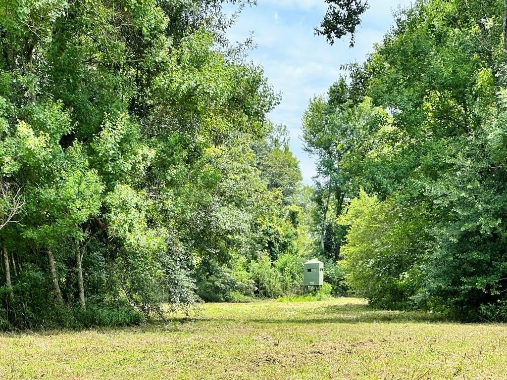 148.18 acres in Texas County - photo 18