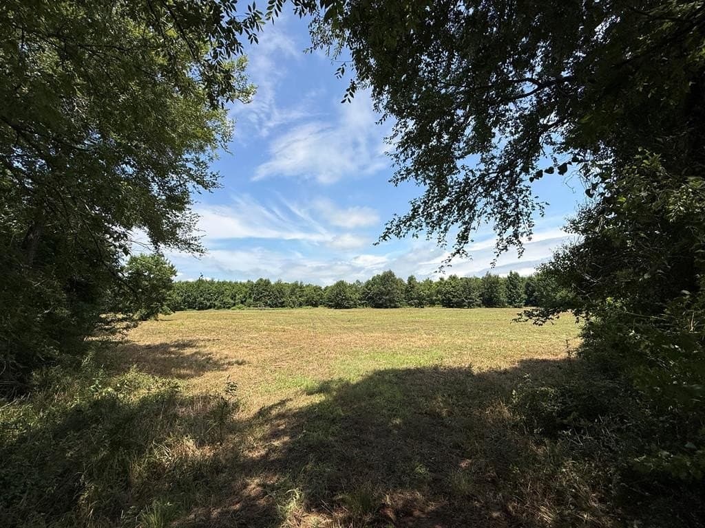 148.18 acres in Texas County - photo 24
