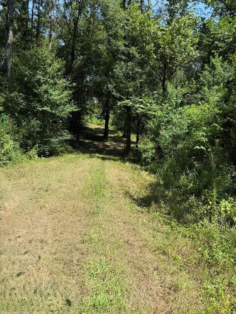 148.18 acres in Texas County - photo 44