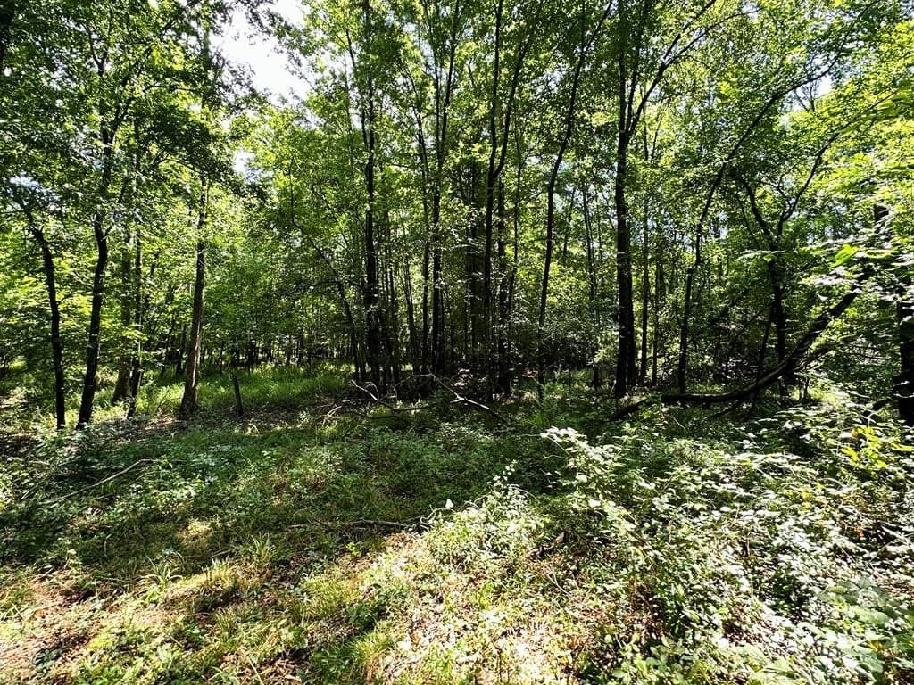 148.18 acres in Texas County - photo 35