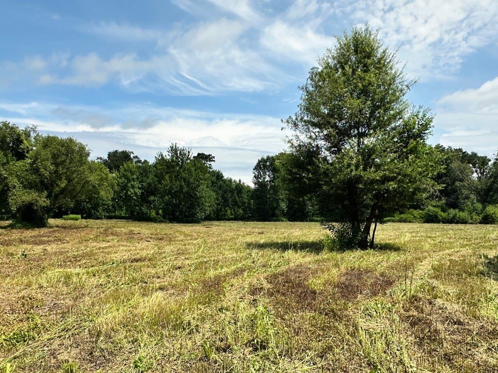148.18 acres in Texas County - photo 10