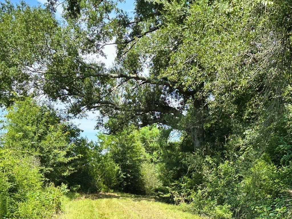148.18 acres in Texas County - photo 9