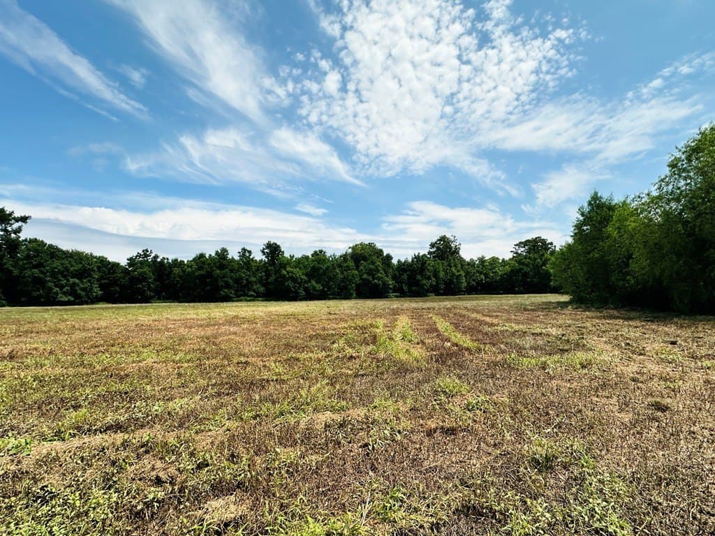 148.18 acres in Texas County - photo 6