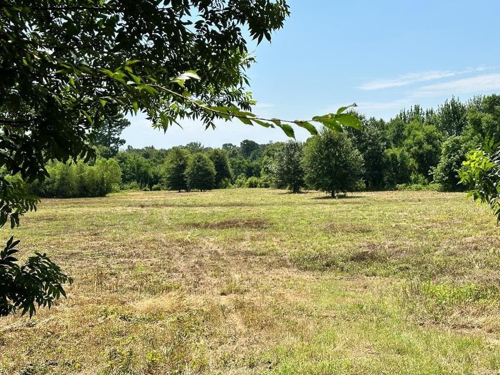 148.18 acres in Texas County - photo 23