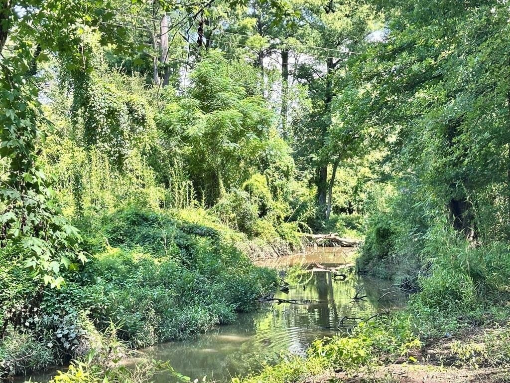 148.18 acres in Texas County - photo 49