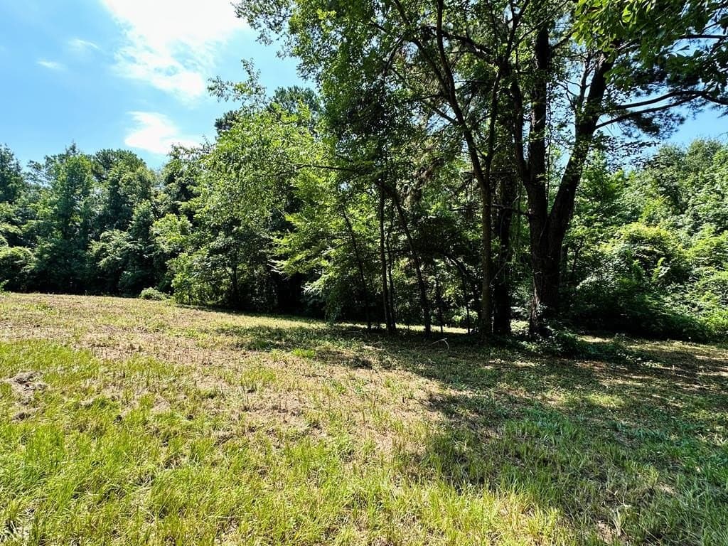 148.18 acres in Texas County - photo 12
