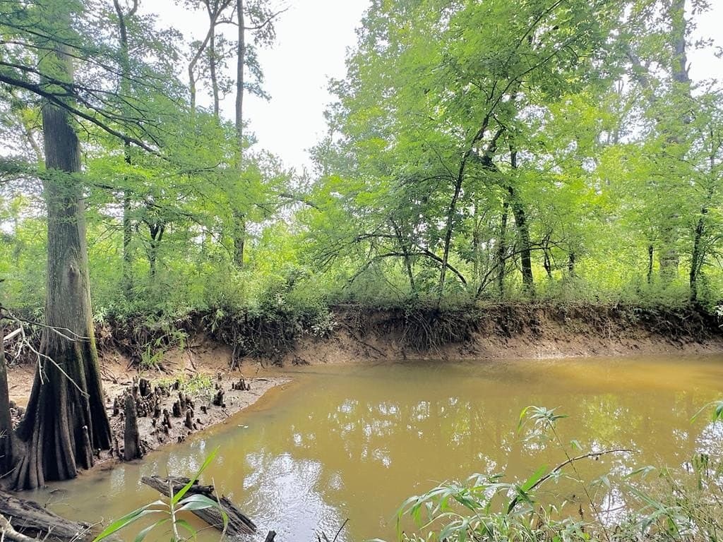 148.18 acres in Texas County - photo 20