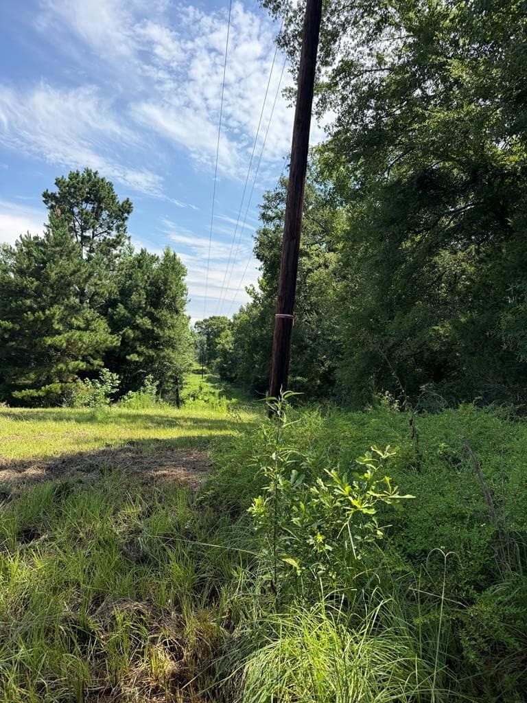 148.18 acres in Texas County - photo 46