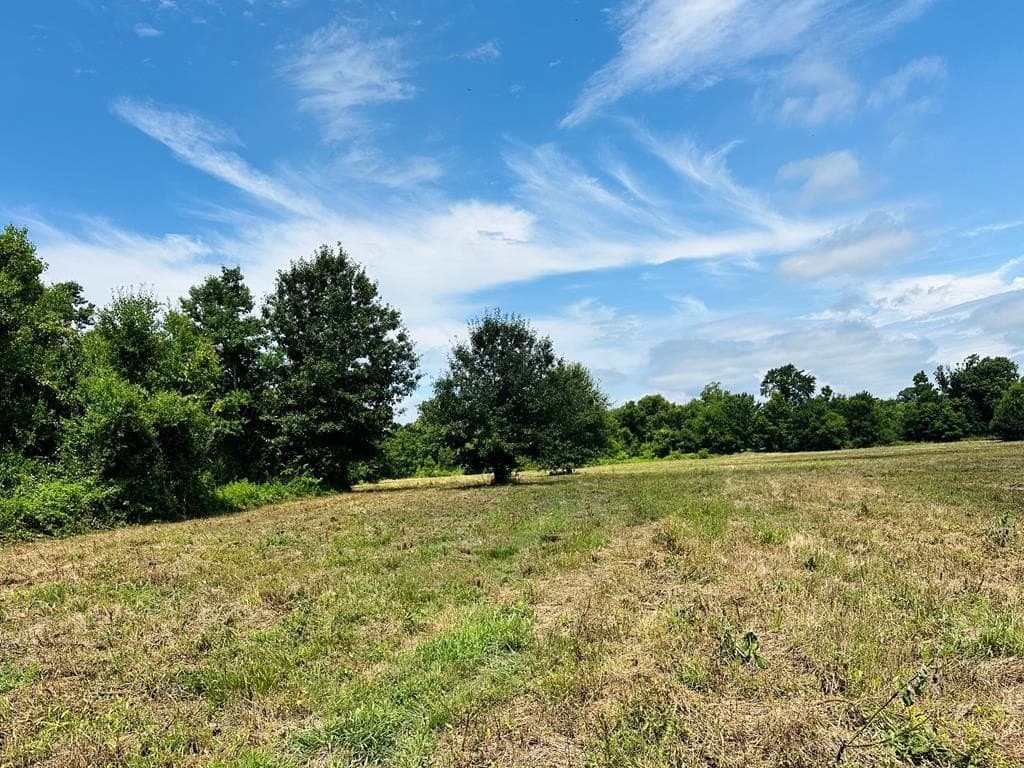 148.18 acres in Texas County gallery image 2