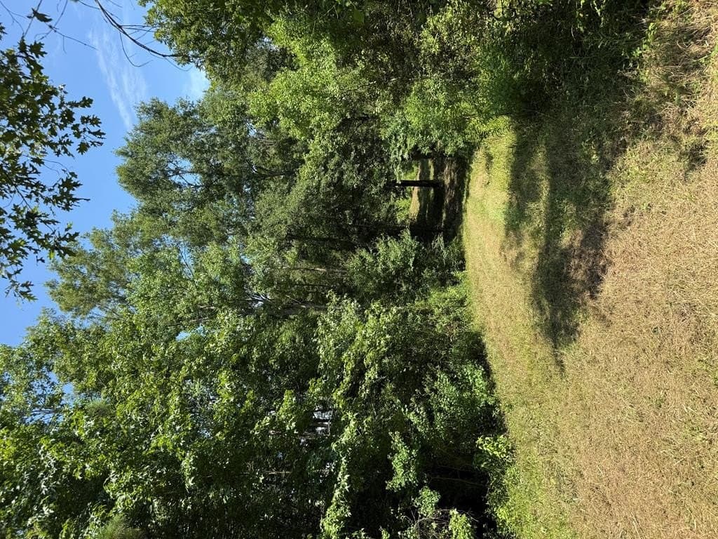 148.18 acres in Texas County - photo 39
