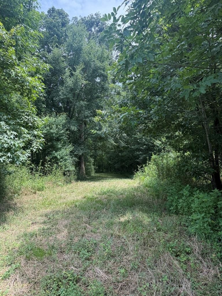 148.18 acres in Texas County - photo 21
