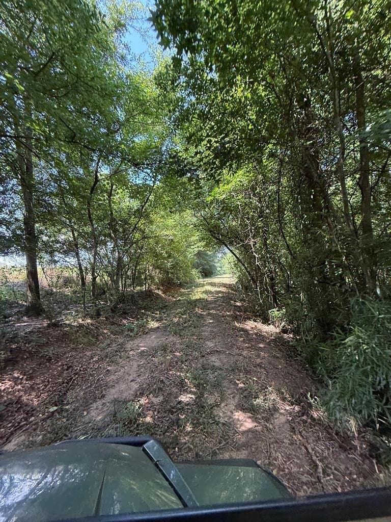 148.18 acres in Texas County - photo 27