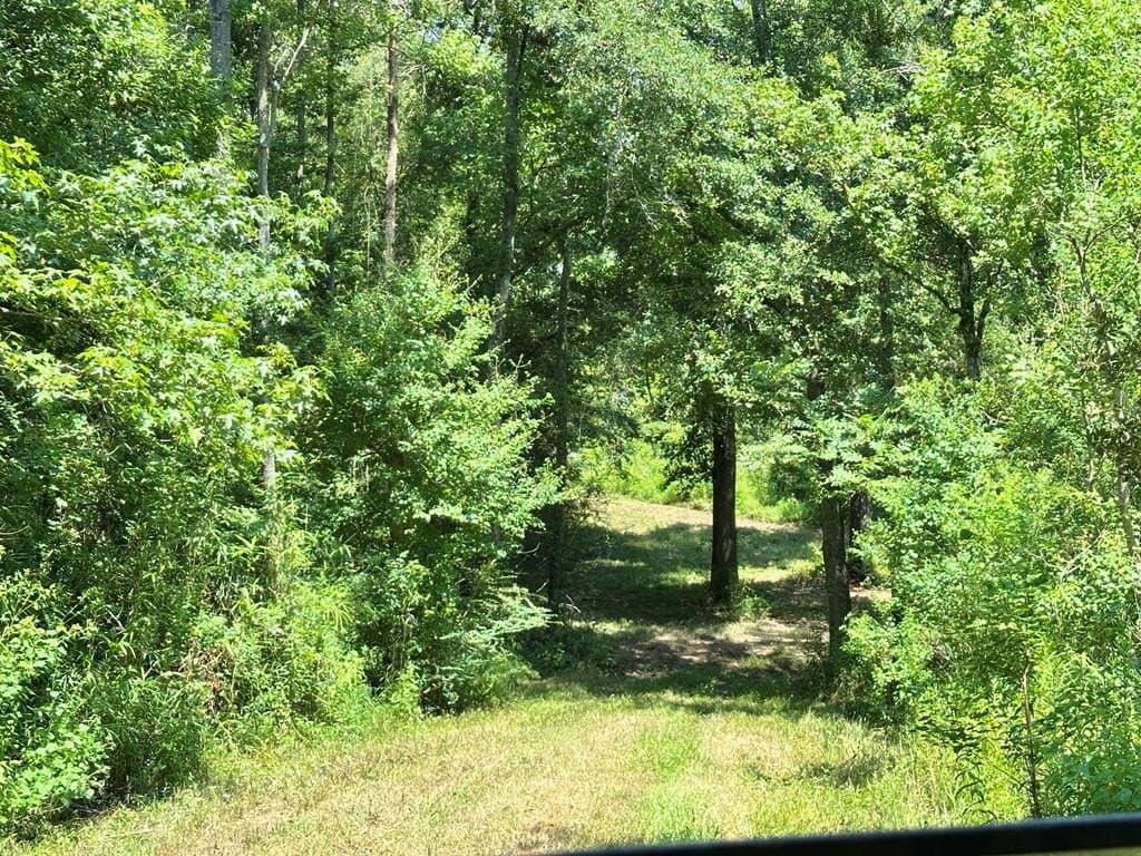 148.18 acres in Texas County - photo 40