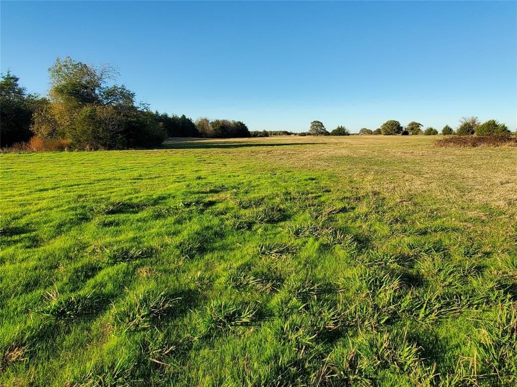 24.33 acres in Fannin County featured view