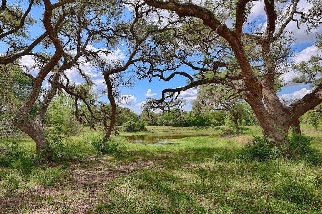 190.97 acres in Lavaca County - photo 6