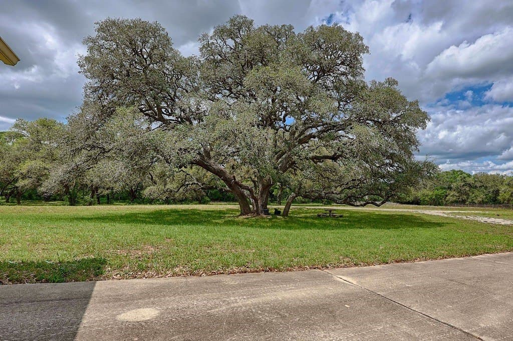 190.97 acres in Lavaca County - photo 15
