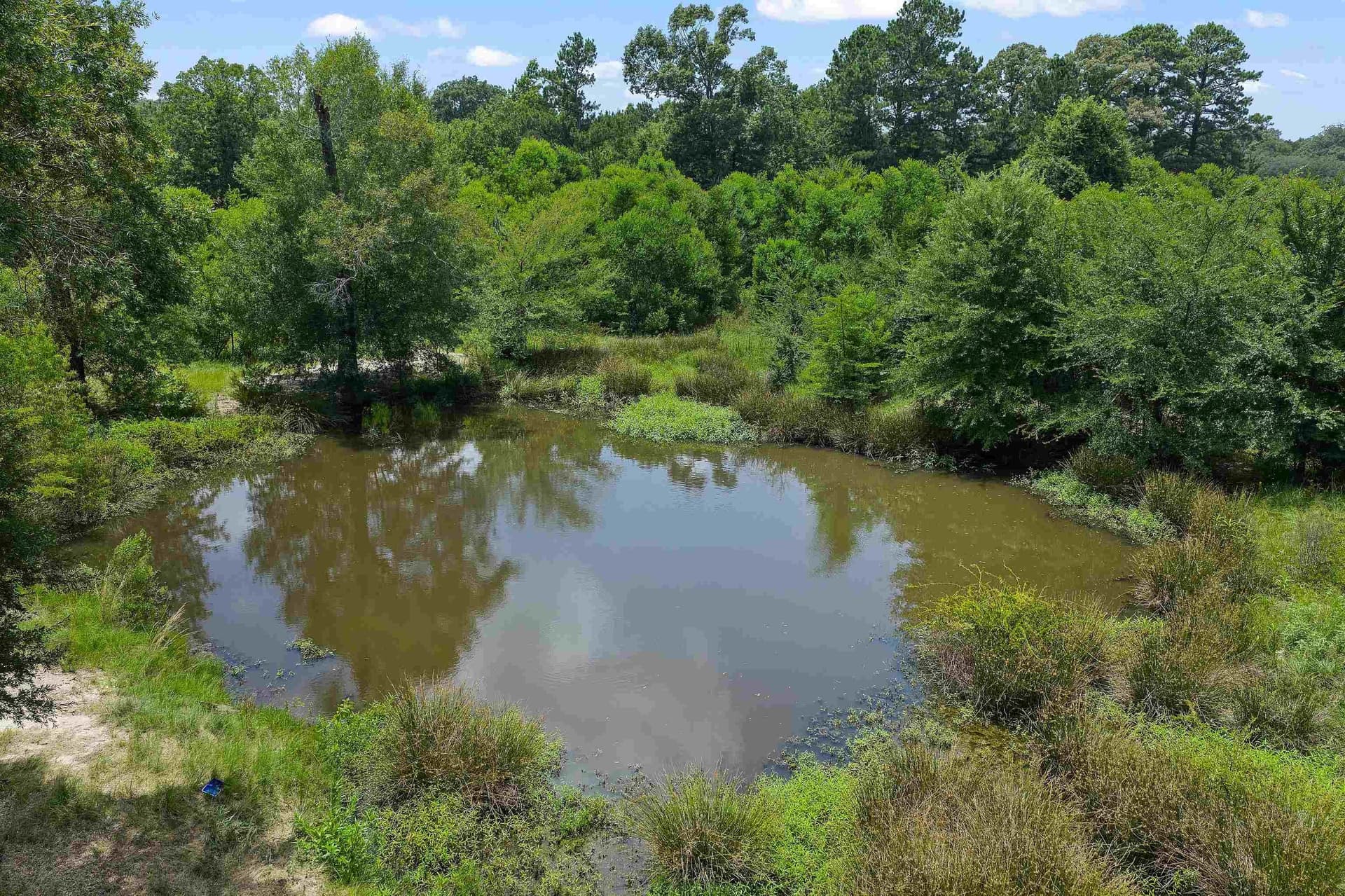 16.98 acres in Panola County gallery image 4