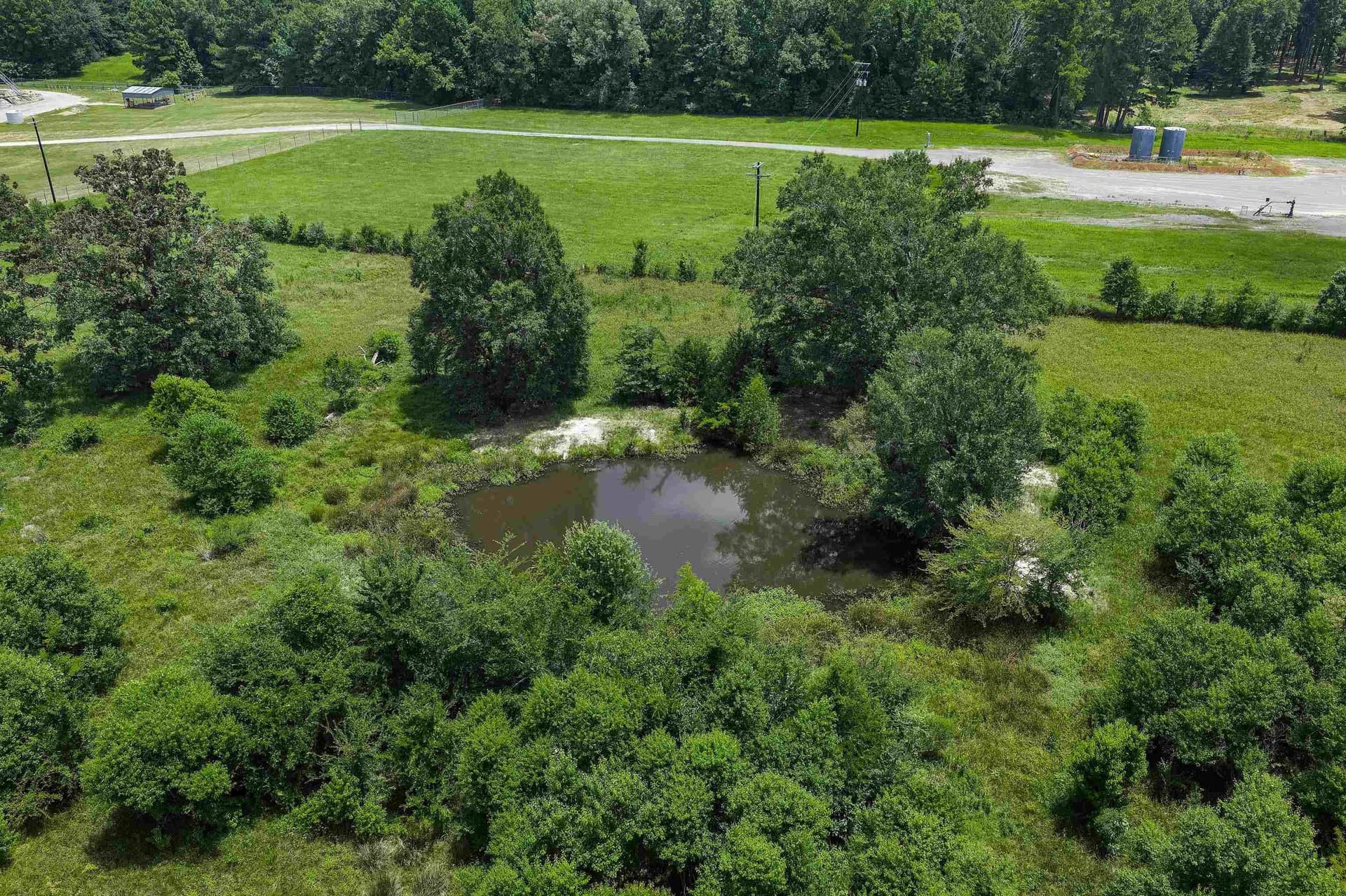 16.98 acres in Panola County gallery image 3