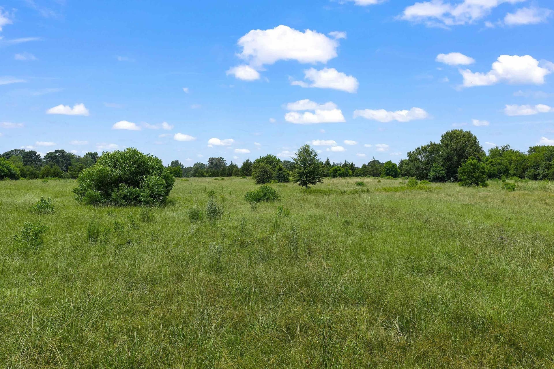 16.98 acres in Panola County