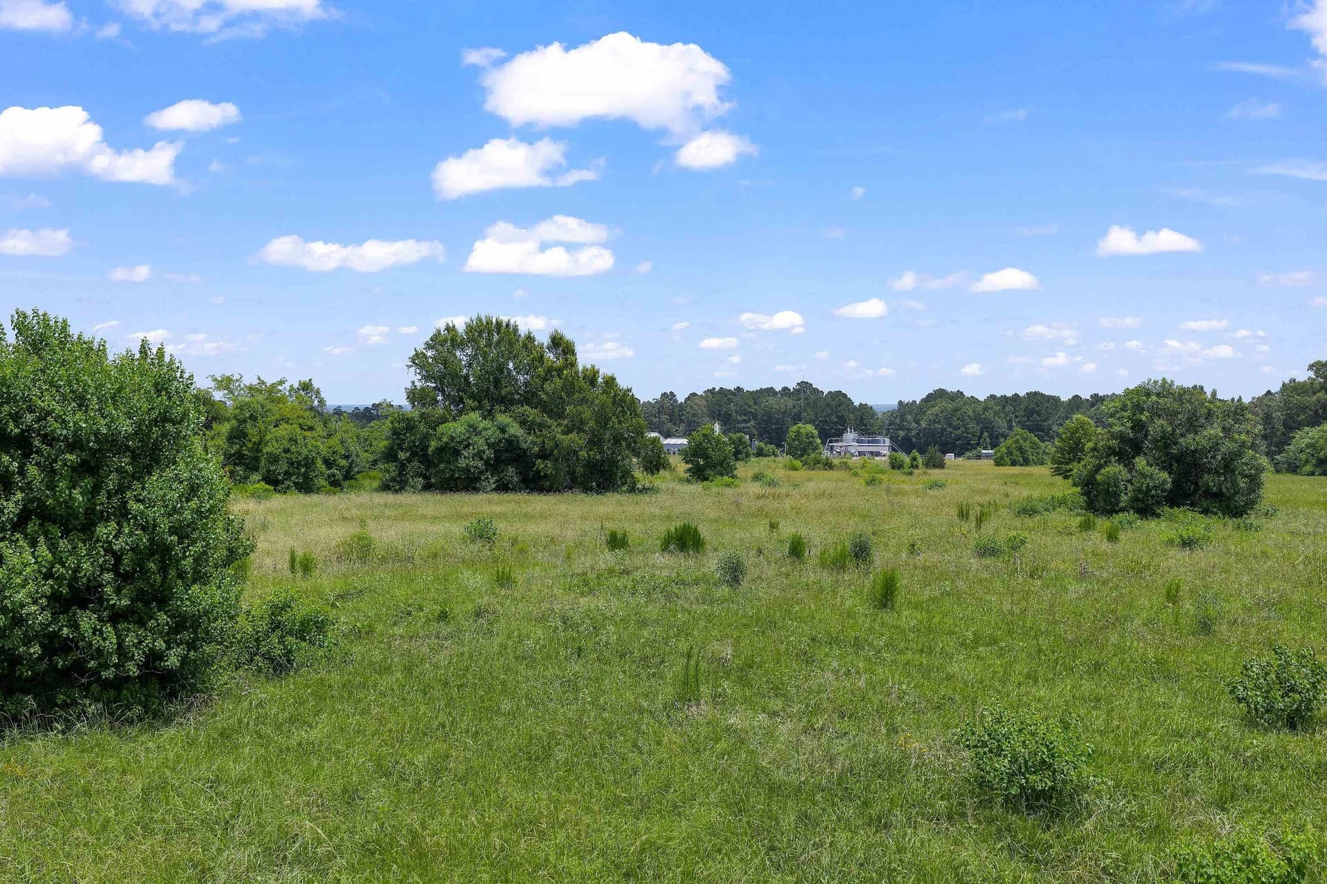 16.98 acres in Panola County gallery image 2