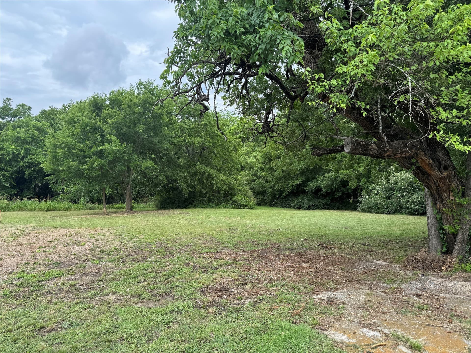 0.24 acres in Grayson County