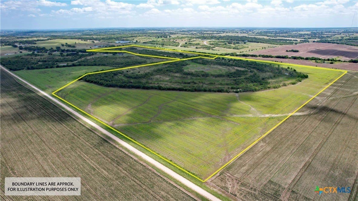 68.78 acres in McLennan County gallery image 3