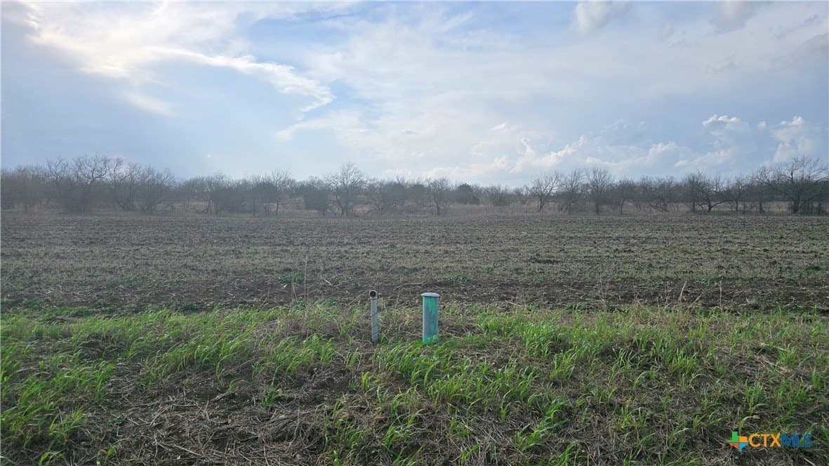 68.78 acres in McLennan County - photo 8