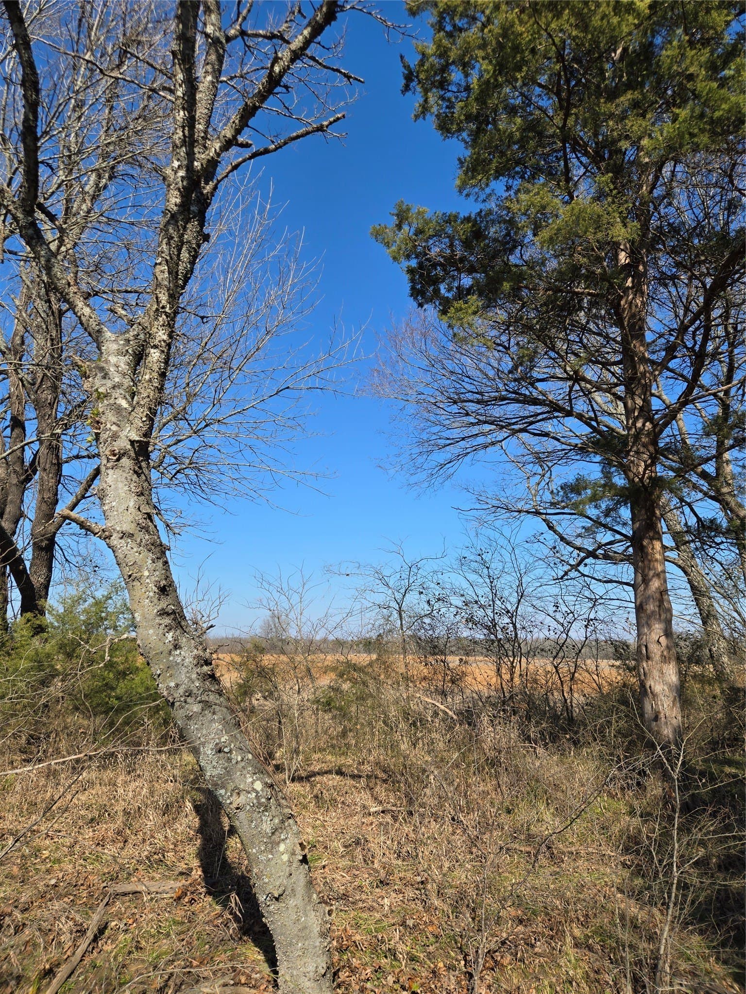 10.16 acres in Hopkins County - photo 8