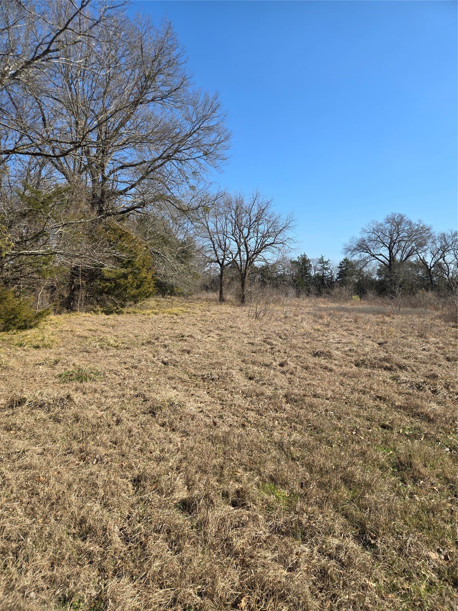 10.16 acres in Hopkins County gallery image 4