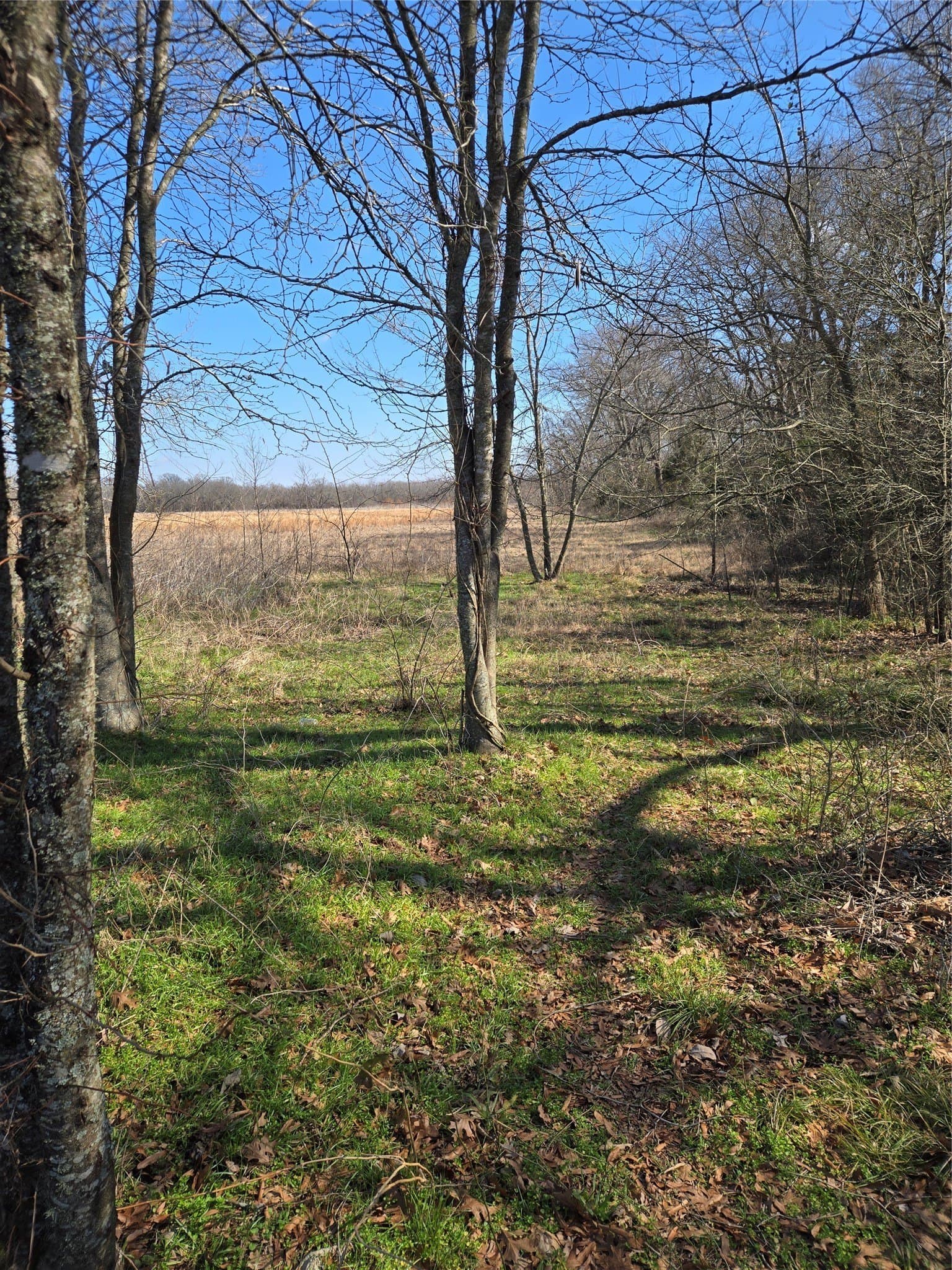 10.16 acres in Hopkins County - photo 11