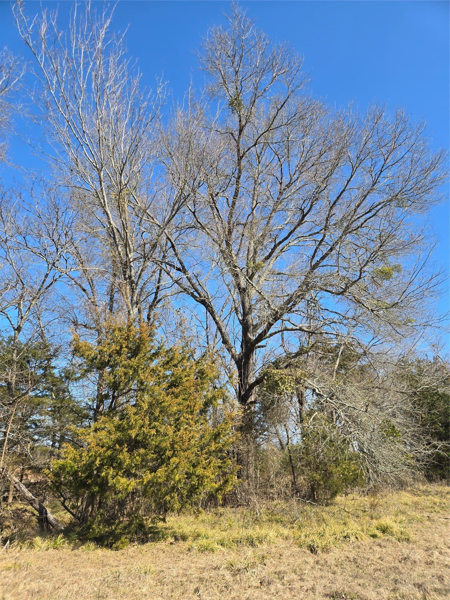 10.16 acres in Hopkins County - photo 6