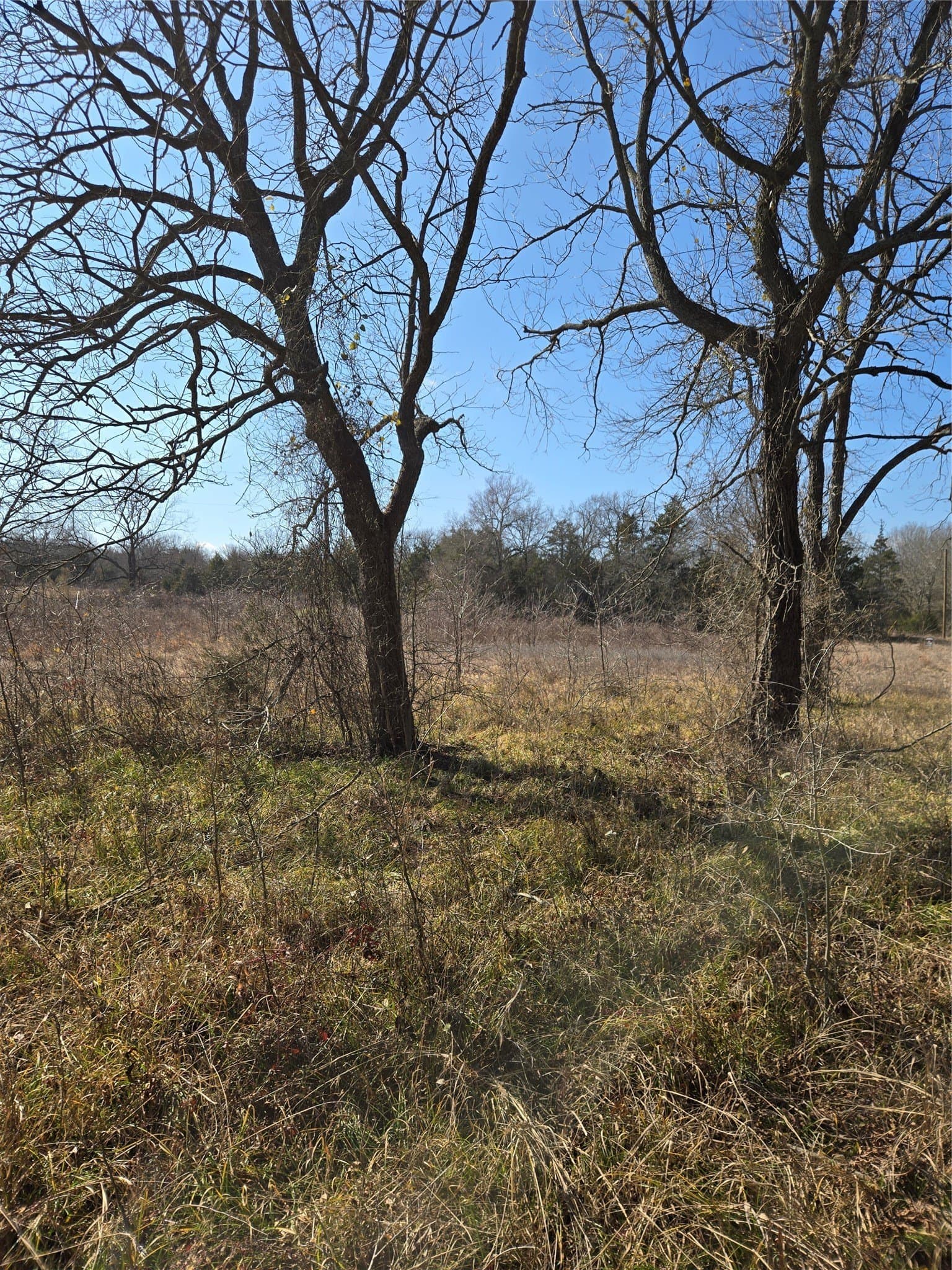 10.16 acres in Hopkins County - photo 10