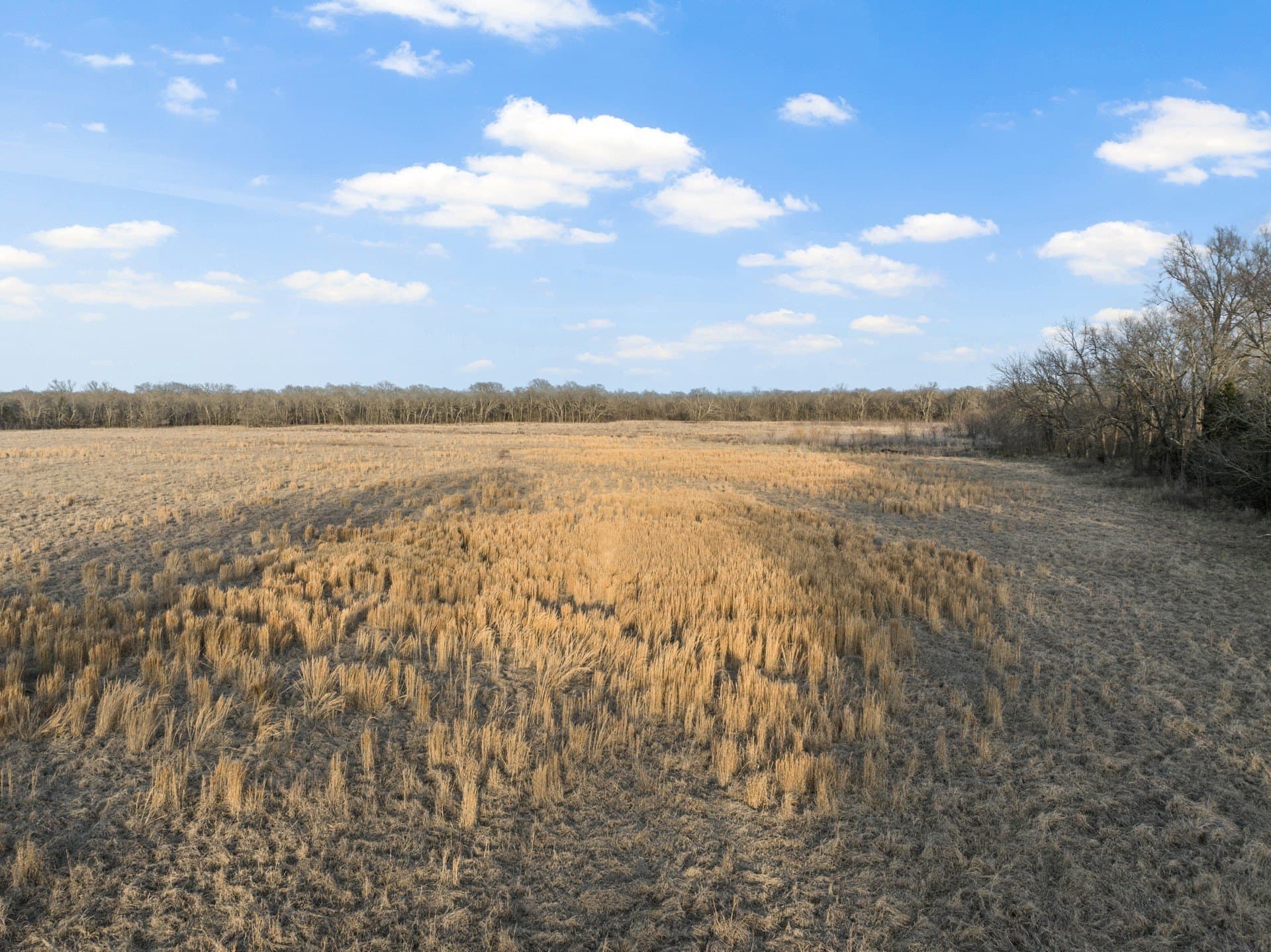 10.16 acres in Hopkins County - photo 17