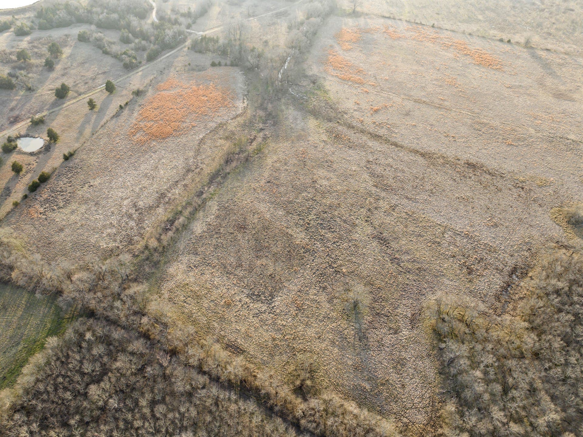 10.16 acres in Hopkins County - photo 21