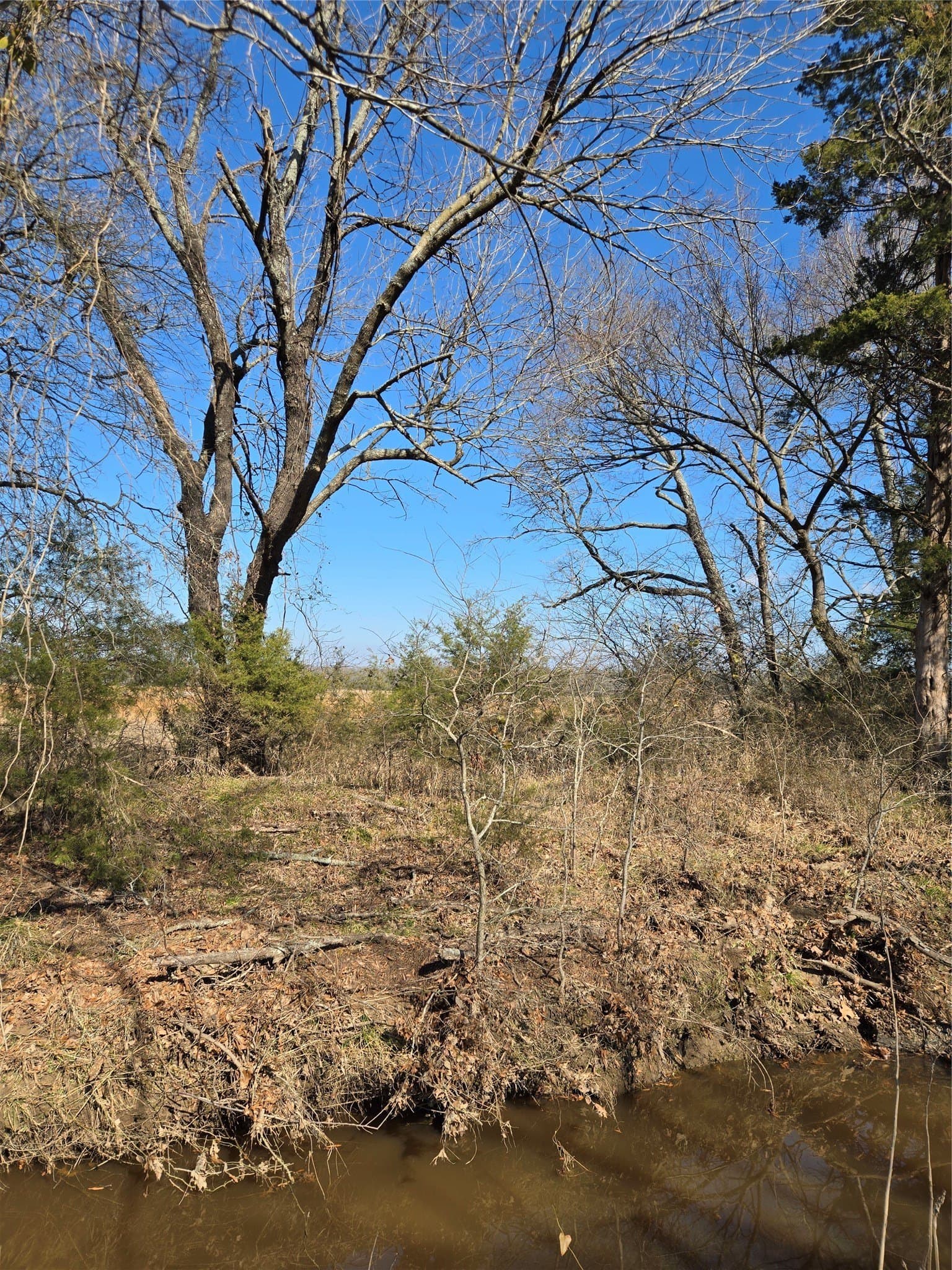 10.16 acres in Hopkins County - photo 7