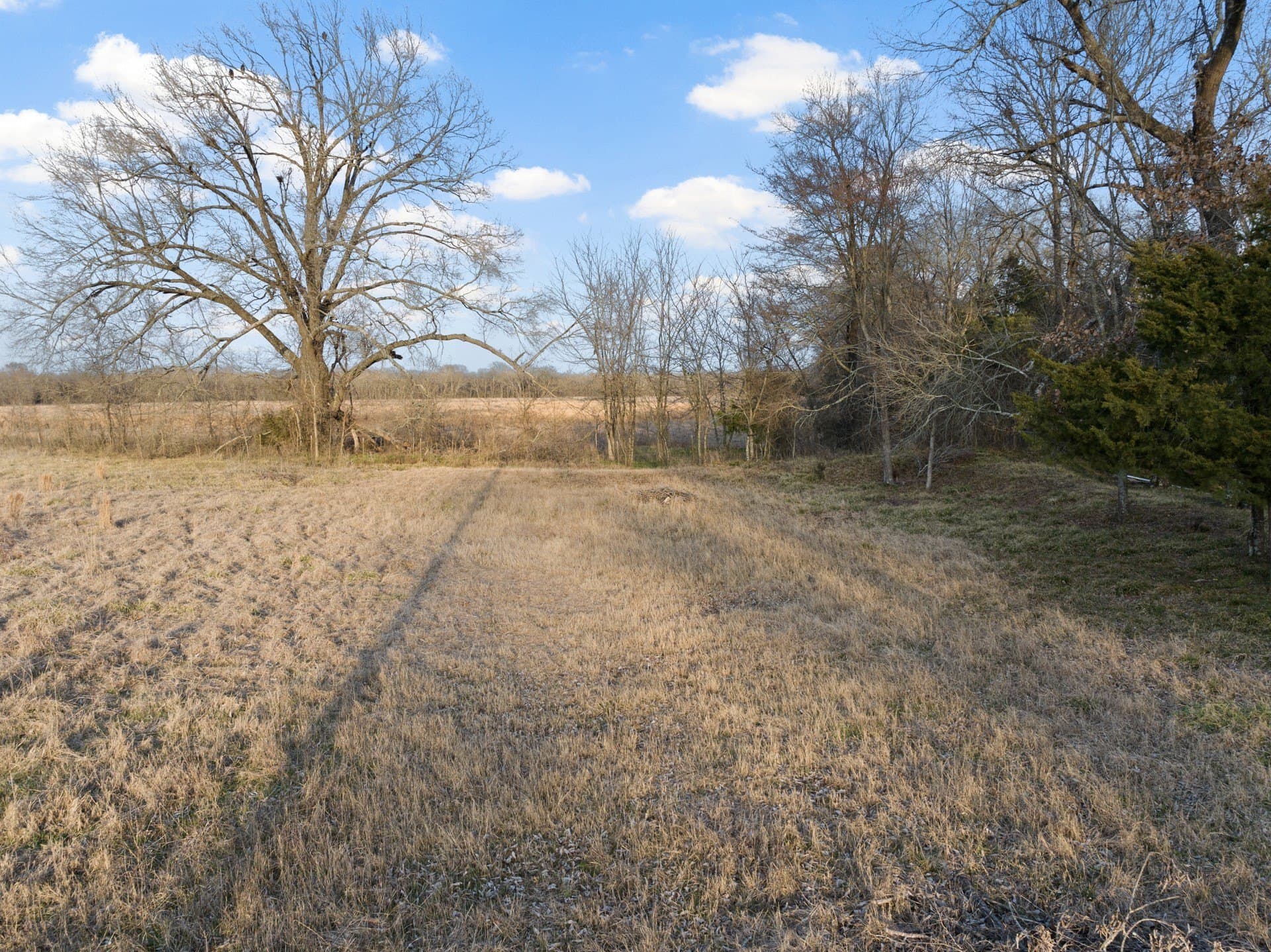 10.16 acres in Hopkins County - photo 15