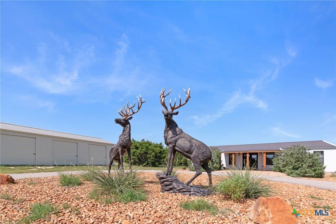 20.08 acres in Lampasas County gallery image 3