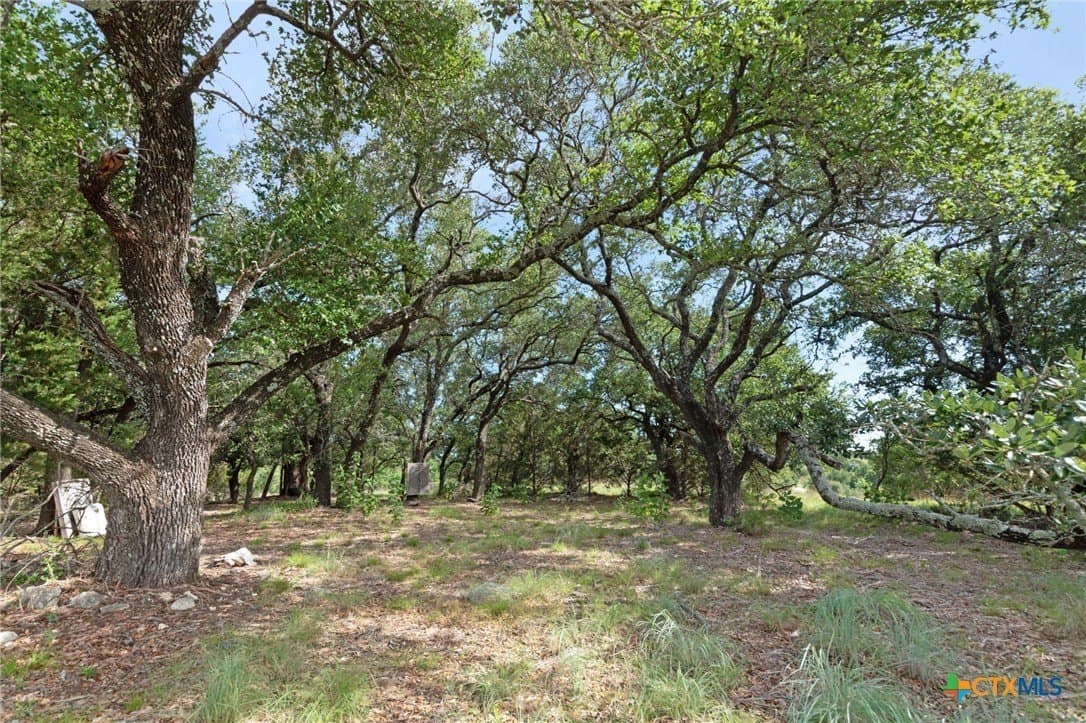 20.08 acres in Lampasas County - photo 41