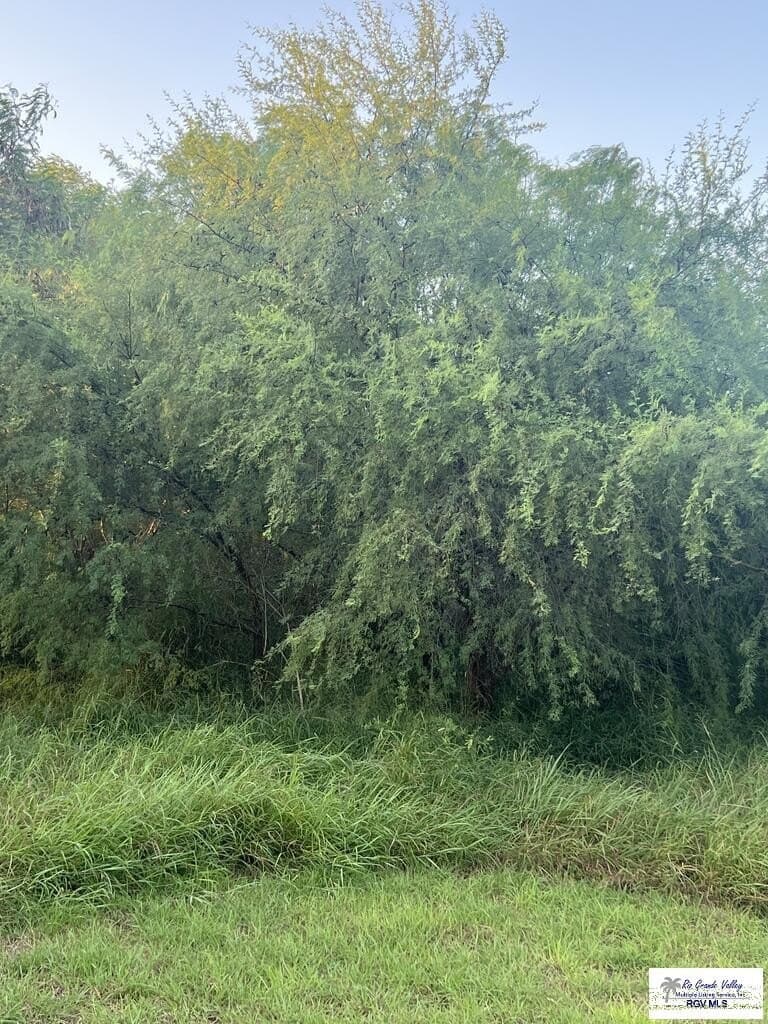 1.86 acres in CAMERON County - photo 5