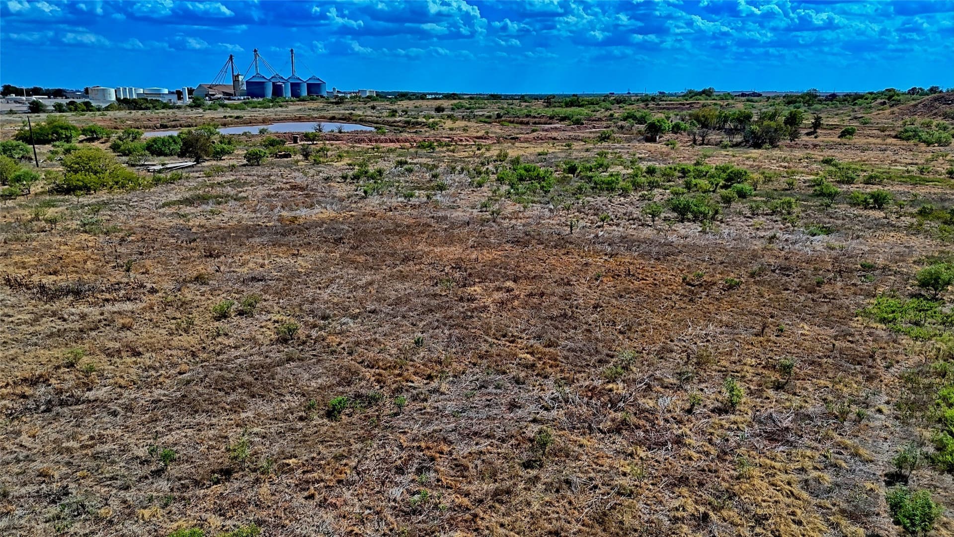 111.86 acres in Wichita County - photo 5