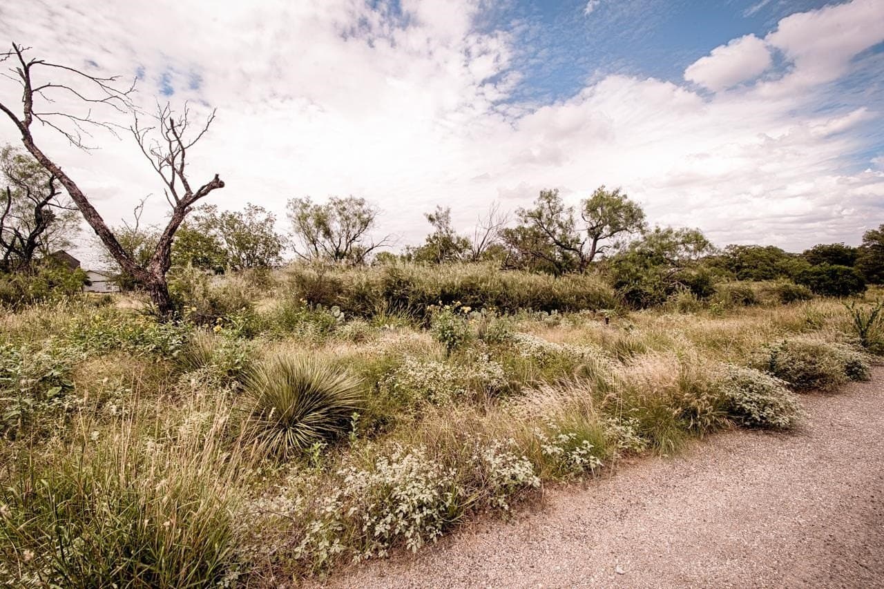 0.2 acres in Llano County - photo 6